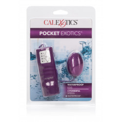 Pocket Exotics Waterproof Egg