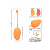 Kegel Training Set Mango