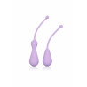 Weighted Kegel Exercisers Set