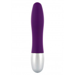 Discretion Probe Vibrator