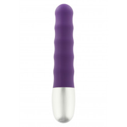 Discretion Ribbed Vibrator