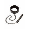 Boundless Collar & Leash