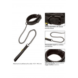 Boundless Collar & Leash