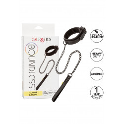 Boundless Collar & Leash